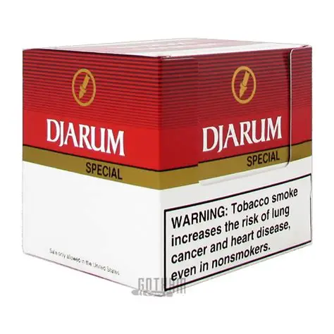 DJARUM SPECIAL (120 FILTERED CIGARS)