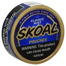 SKOAL MINT POUCHES