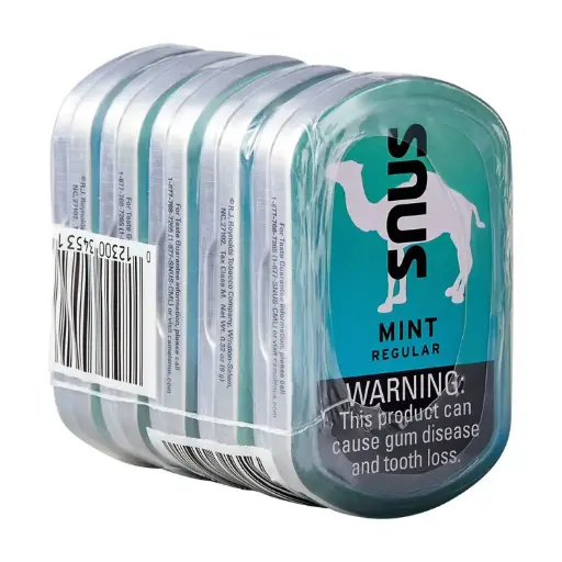 SNUS MINT REGULAR 5CT