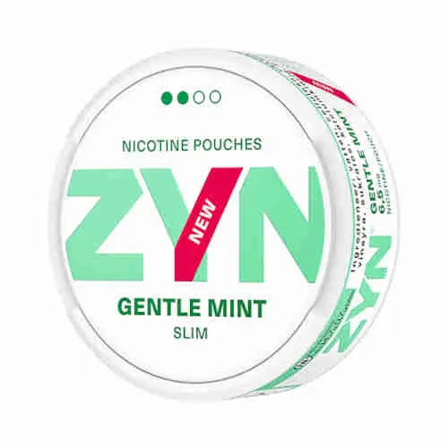 EUROPEAN ZYN GENTLE MINT